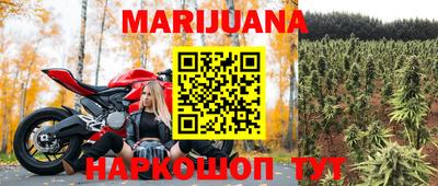 амф Гай