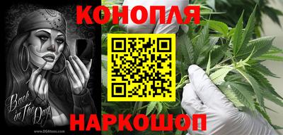 амф Гай