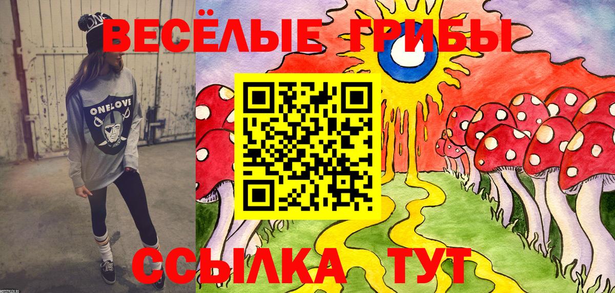 Кизляр  Галлюциногенные грибы ЛСД  Вход с VPN 